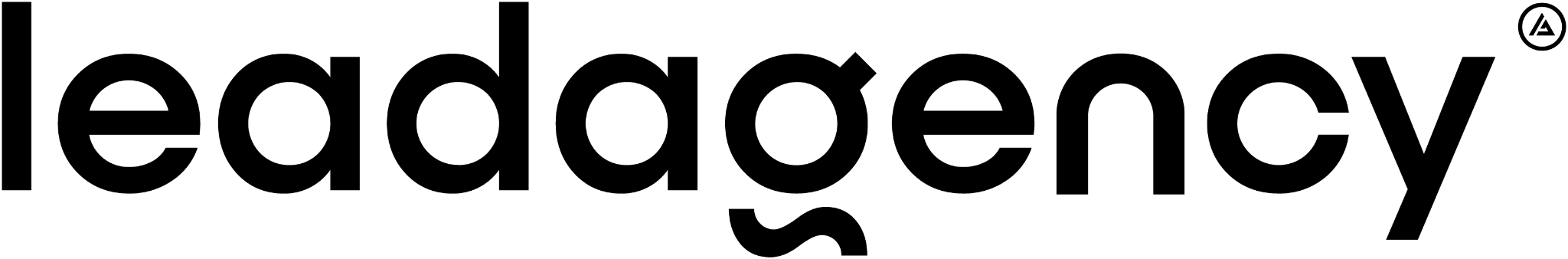 The Lead Agency