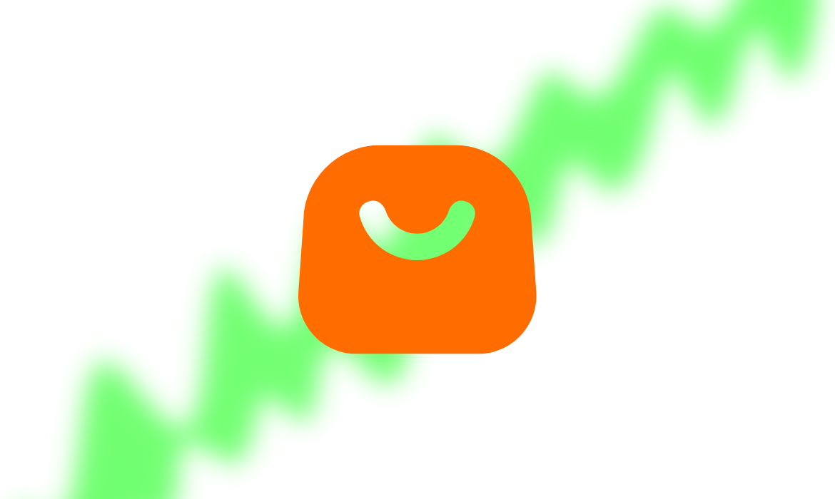 Winning Against Temu with Google Ads + SEO